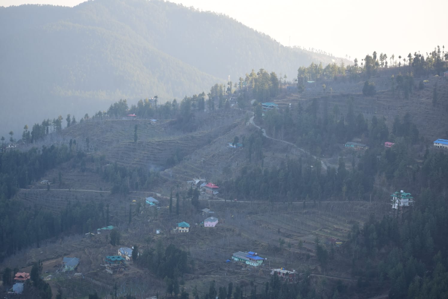 Mountain village with terraced hillside and pine trees in Bani, Theog